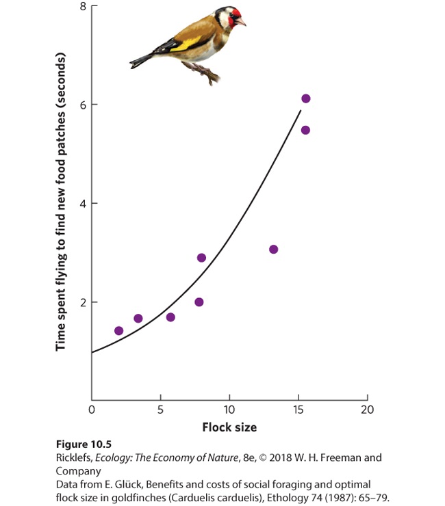 Ch 10 fig (p. 598)