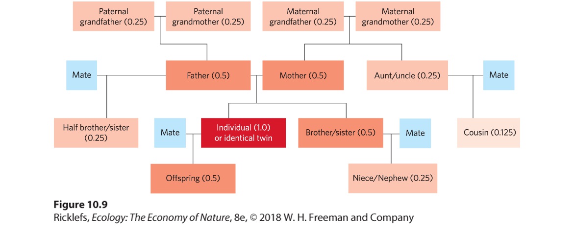 Ch 10 fig (p. 605)