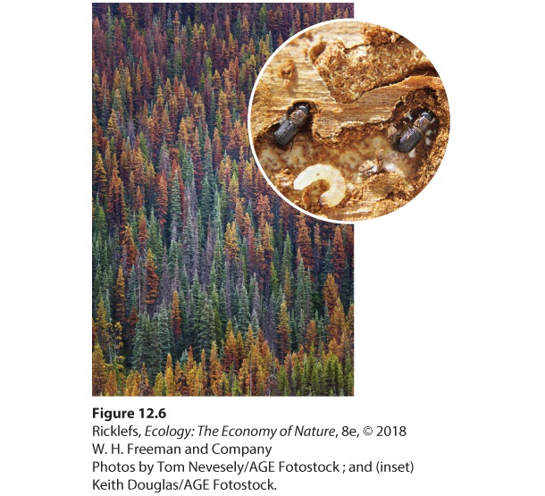 Ch 12 fig (p. 701)