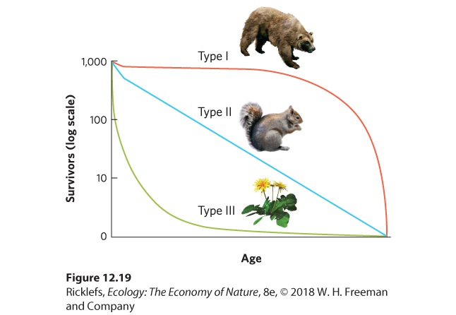 Ch 12 figure