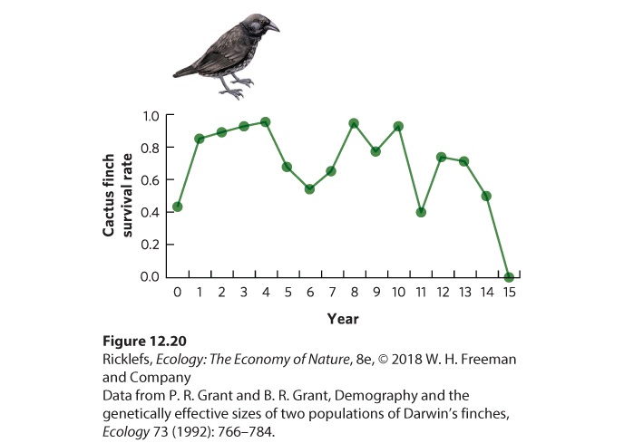 Ch 12 figure