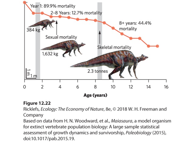 Ch 12 figure