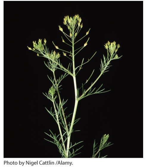 Ch 13 fig (p. 765)