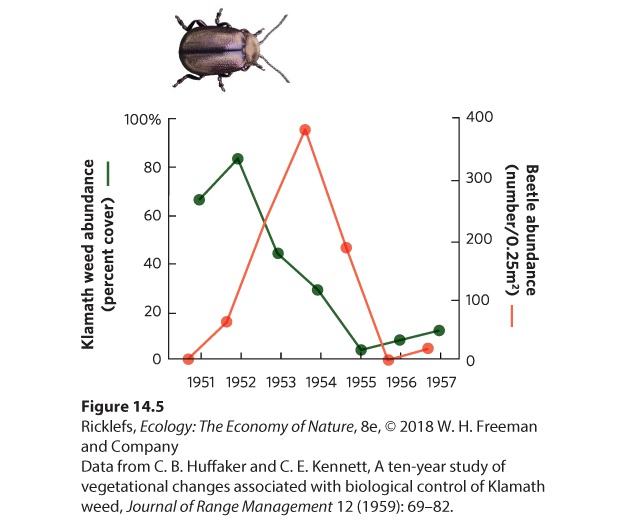 Ch 14 fig (p. 805)