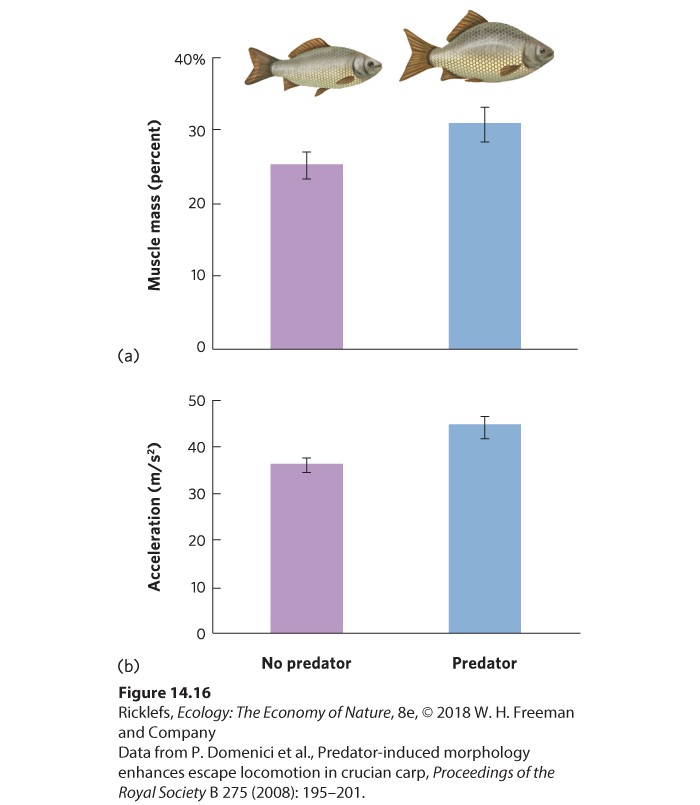 Ch 14 fig (p. 826)