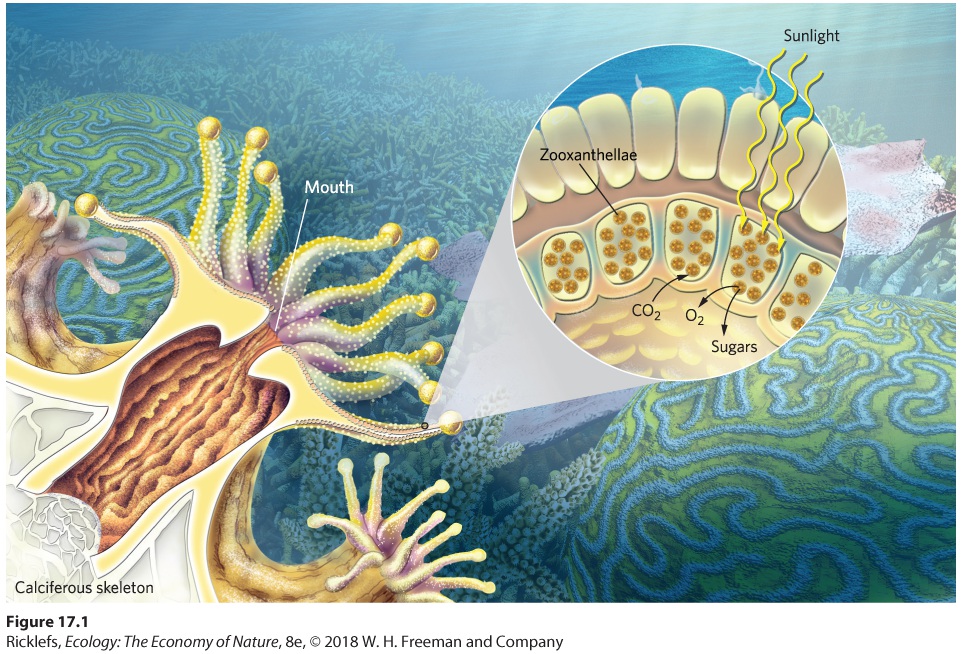Ch 17 fig (p. 966)