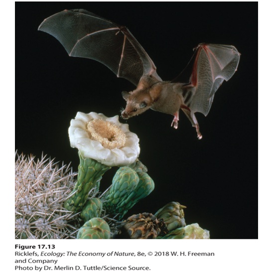 Ch 17 fig (p. 984)
