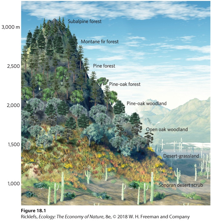 Ch 18 fig (p. 1021)
