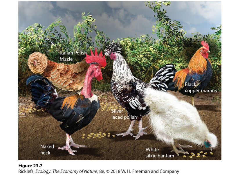 Ch 23 fig (p. 1316)