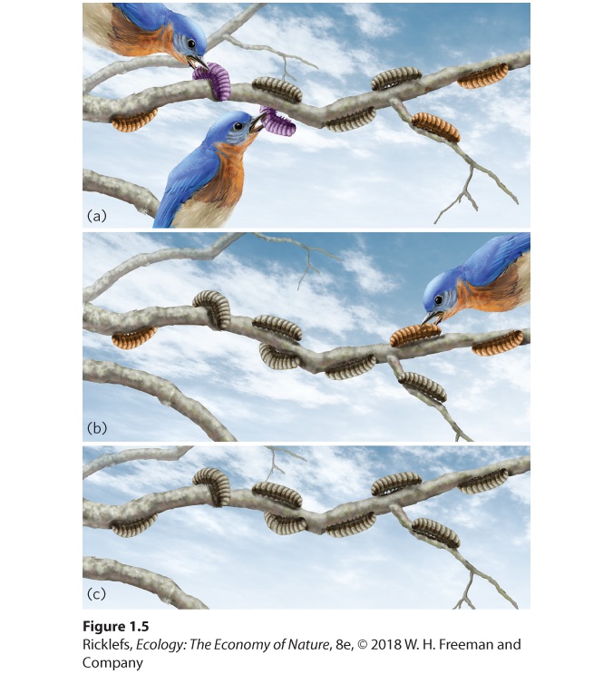 Figure from the course study guide