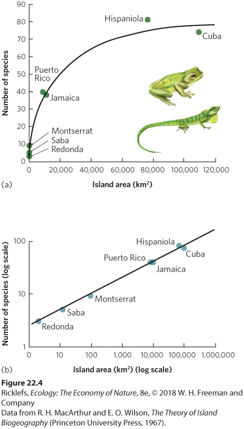 Figure from the course study guide