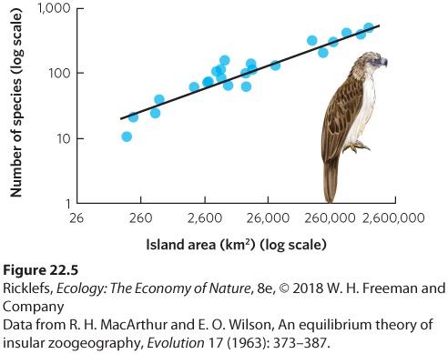 Figure from the course study guide