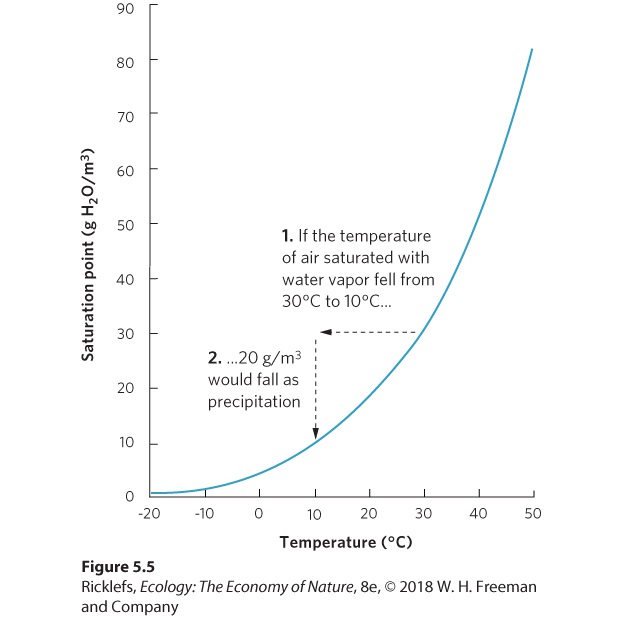 Figure from the course study guide