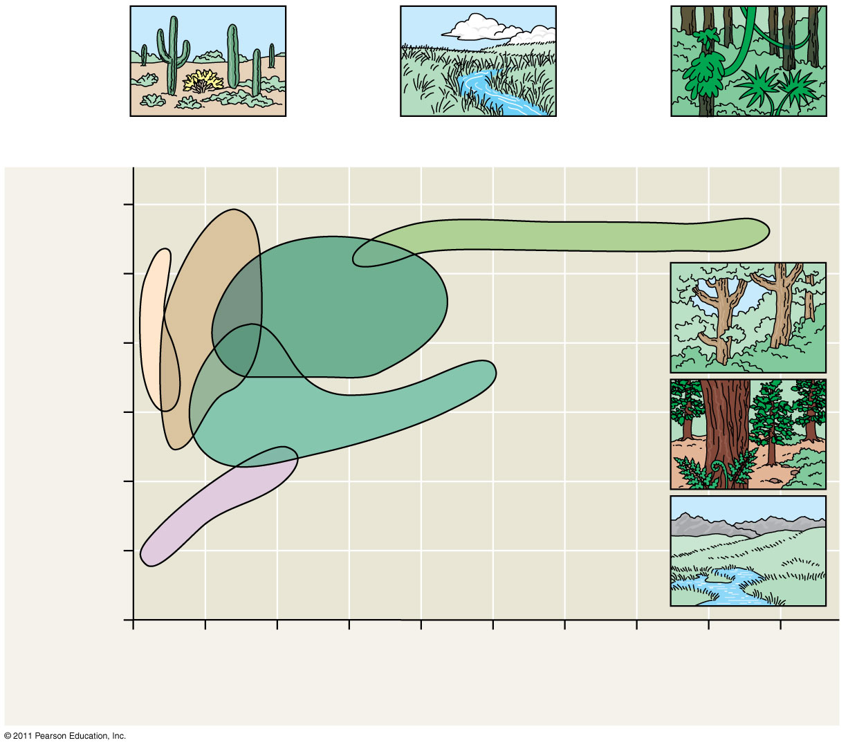 Slide 40: the classic biome plot - annual mean temperature vs precipitation (tundra, coniferous/broadleaf forest, grassland, desert, tropical forest).