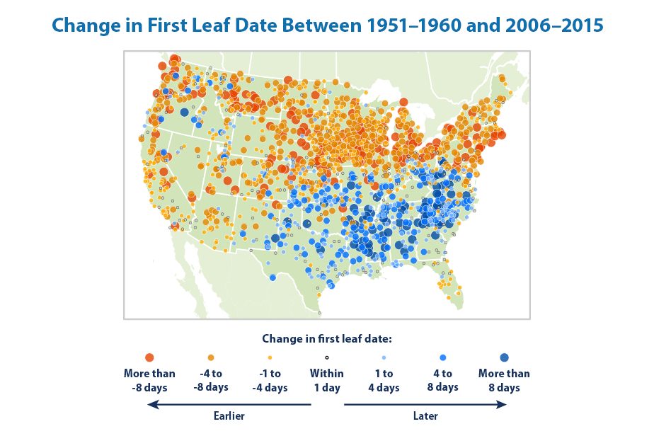 Earlier first-leaf and first-bloom dates, and the pollinator–plant mismatch that follows.