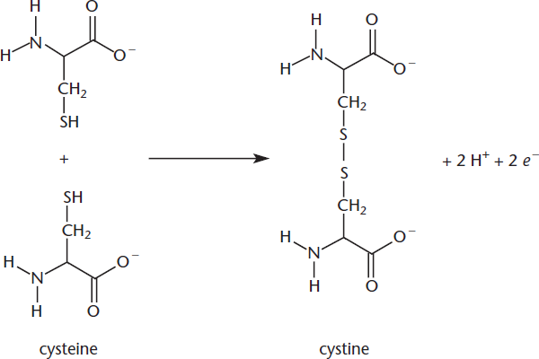 two cysteine residues forming disulfide bond, while losing 2 H+ and 2 electrons.