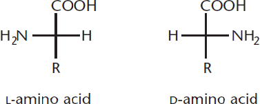 Fischer diagrams with COOH up and R down. In L-amino acid, amino group is on left; in D-amino acid, amino group is on right