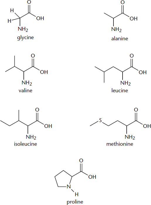 amino acids with following R groups: glycine = H, alanine = methyl, valine = isopropyl, leucine = sec-butyl, methionine = methylthioethyl, proline = pyrrolidine