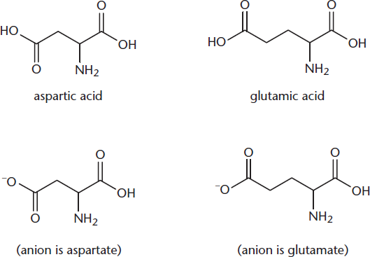 amino acids with following R groups: aspartic acid = carboxymethyl (anion is aspartate), glutamic acid = carboxyethyl (anion is glutamate)