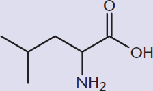 amino acid with an isopropyl as the R group