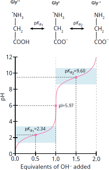 titration curve with buffer regions at 2.34 (pKa1) and 9.60 (pKa2), equivalence point (pI) at 5.97
