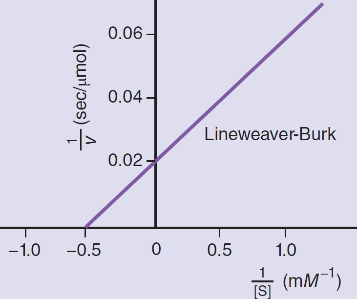 graph of a Lineweaver- Burk Plot