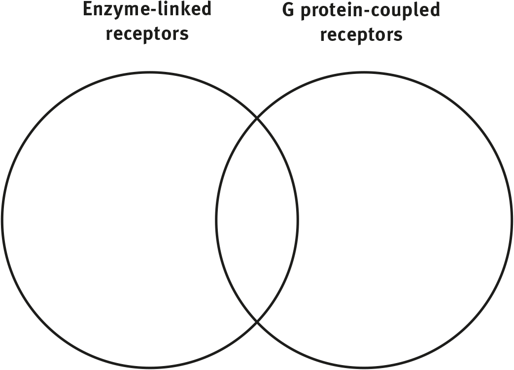 Venn diagram with enzyme-linked receptors as one circle, G protein-coupled receptors as other circle, and an area of overlap