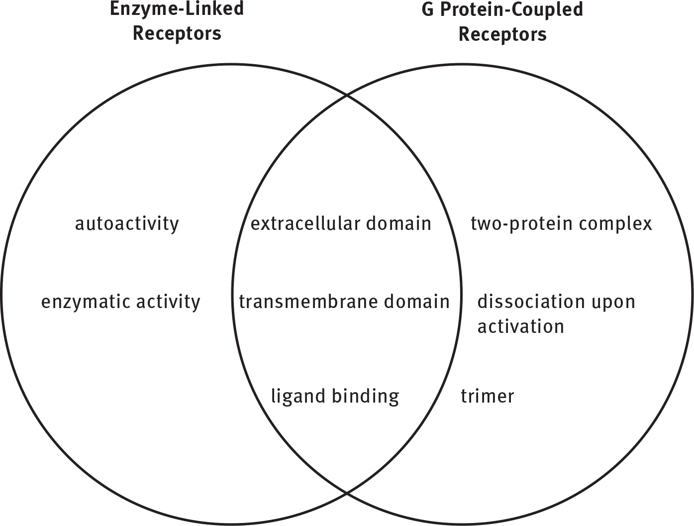 enzyme-linked receptors only: autoactivity, enzymatic activity; GPCRs only: two-protein complex, dissociation upon activation, trimer; both: extracellular and transmembrane domains, ligand binding