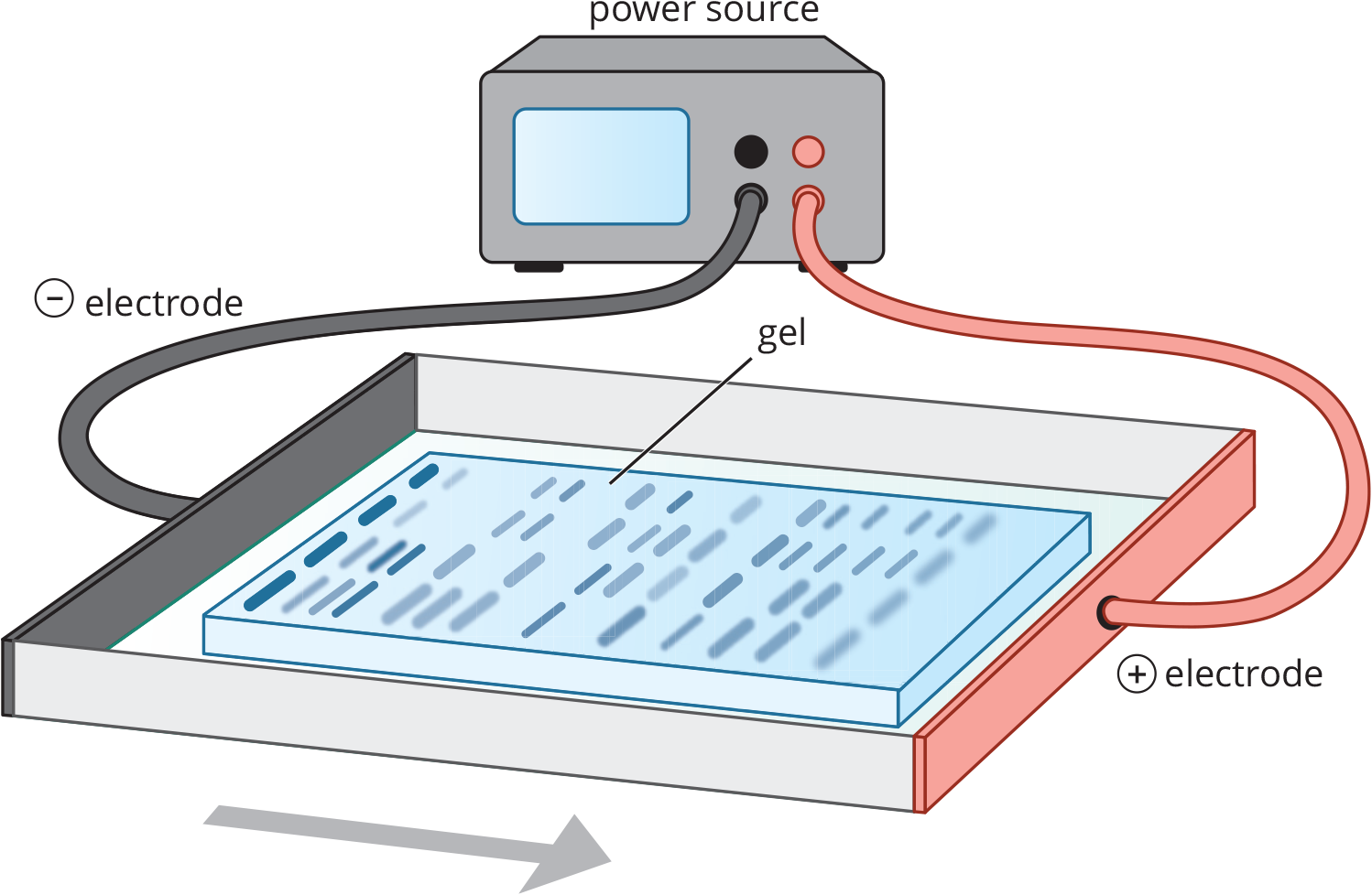 batteries connected to foil electrodes; pigments spreading through gel and separating into various bands