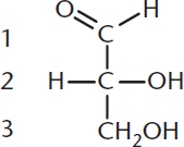 Fischer diagram of 2,3-dihydroxypropanal