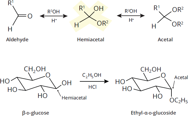 beta-D-glucose mixed with ethanol and hydrochloric acid, forming ethyl-alpha- and ethyl-beta-D-glucoside (an acetal) and water