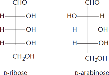 two aldopentoses with one chiral carbon (C2) switched