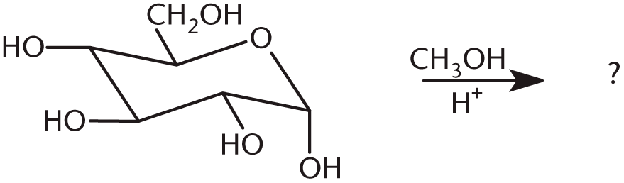 cyclic monosaccharide combined with methanol and acid