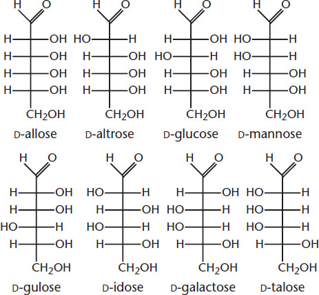 D-allose, D-altrose, D-glucose, D-mannose, D-gulose, D-idose, D-galactose, D-talose