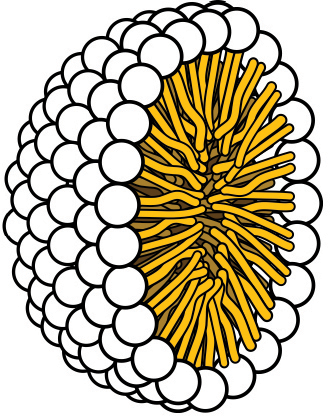 sphere with tails on inside and heads on outside