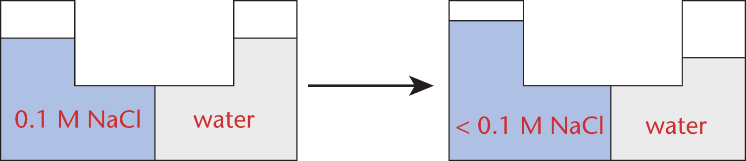 container with 0.1 molar NaCl in left compartment, water in right compartment with membrane between; water increases on salt side as concentration decreases below 0.1 molar