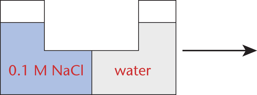 container separated into two compartments by a semipermeable membrane