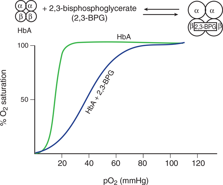 percent oxygen saturation vs. partial pressure of oxygen with normal sigmoidal oxyhemoglobin curve and right-shifted curve with 2,3-BPG