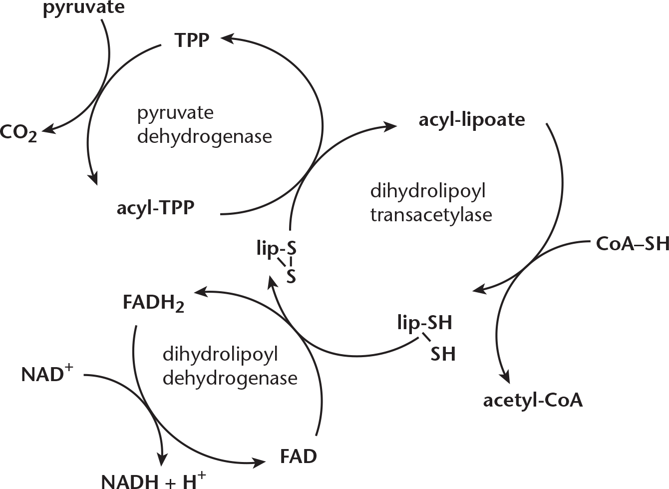 description of reactions given in preceding text