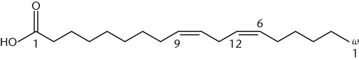 18-carbon chain carboxylic acid with double bonds at 9 and 12