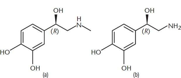 benzene ring with two hydroxyl groups, and an alcohol- and amine-containing chain for both
