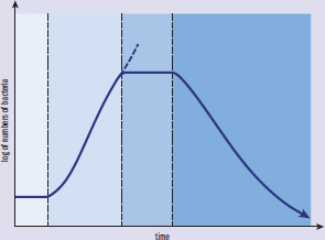 graph of bacterial growth curve