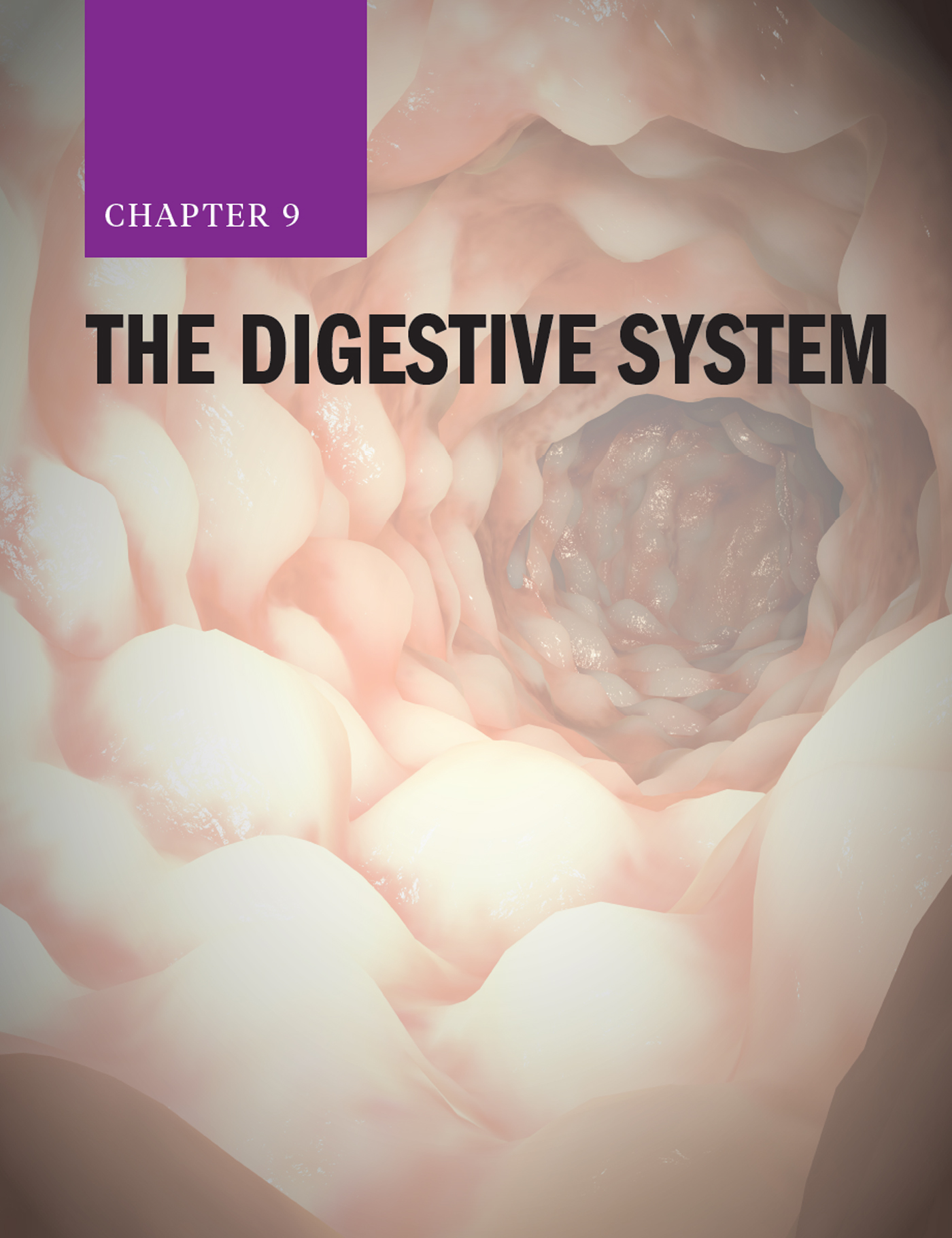 Chapter 9: The Digestive System with the lumen of intestines in the background