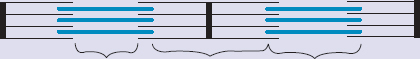 the sarcomere divided into different lines, zones, and bands