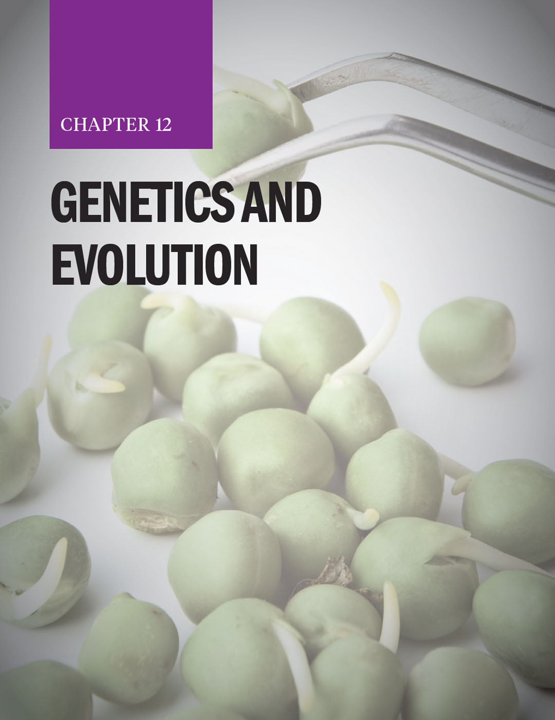 Chapter 12: Genetics and Evolution with green peas in the background