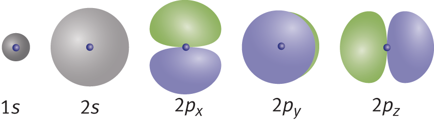 1s: small sphere, 2s: larger sphere; 2px, 2pxy, 2pz: dumbbells aligned with the three axes
