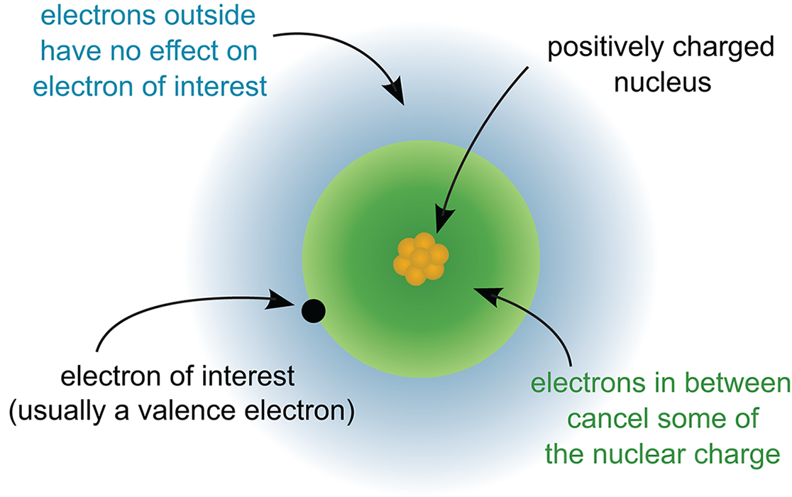 positively charged nucleus with nonvalence electrons canceling some nuclear charge and electrons further out having no effect