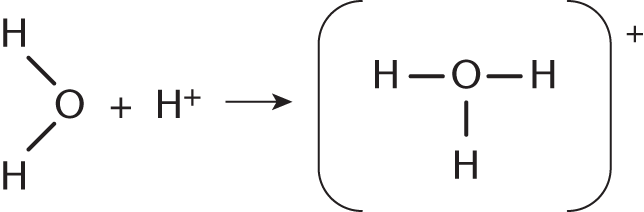 water + proton yields hydronium