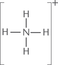 N with four single bonds to hydrogens