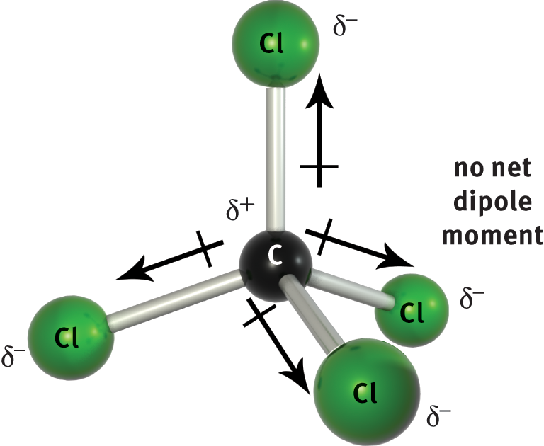 bond dipoles pointing from central C to each terminal Cl; canceling to form no net dipole moment